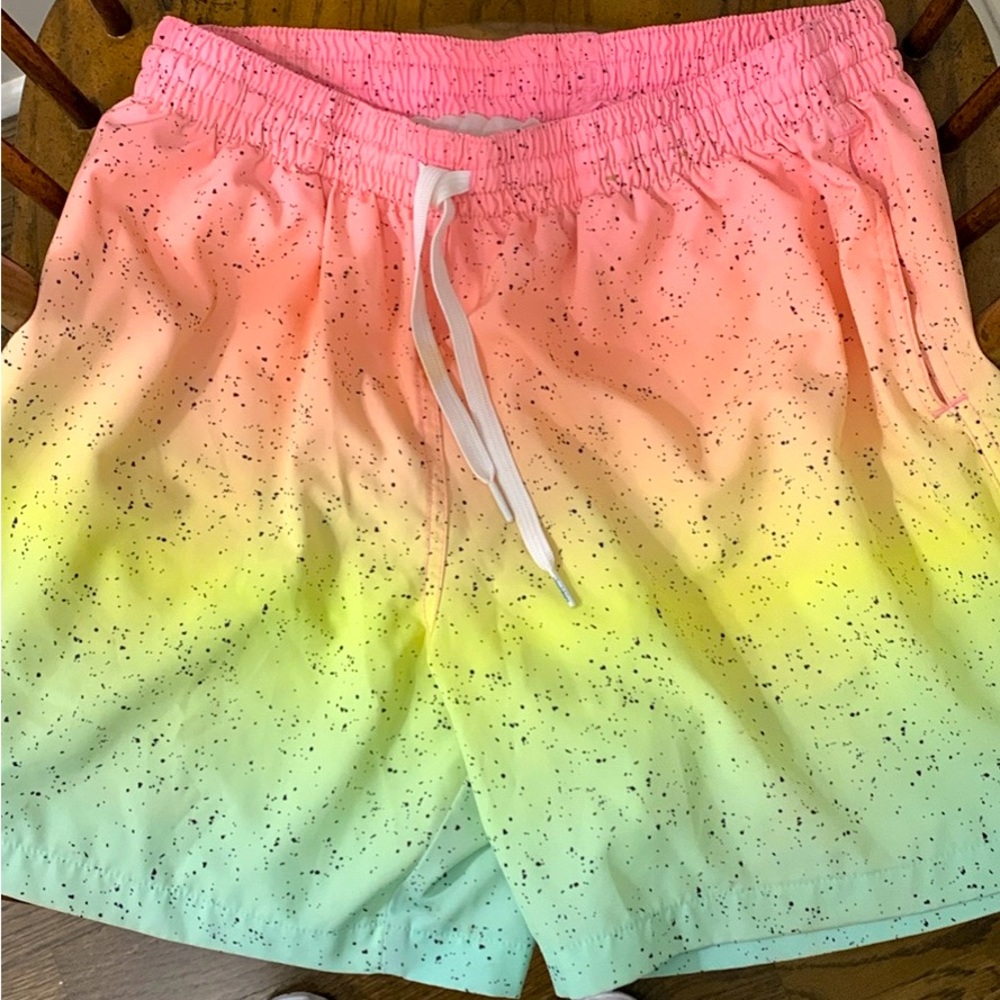 Men’s large Chubbies swim trunks